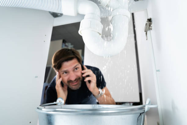 Best Plumbing Repair Near Me  in Rincon Valley, AZ